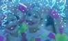Carnaval de paz