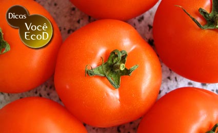 tomate.jpg