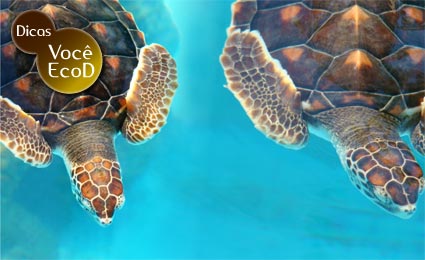 Preserve a biodiversidade