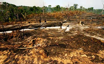 em janeiro, foram detectados 23 km² de desmatamento e em fevereiro 185 km², segundo informou o inpe