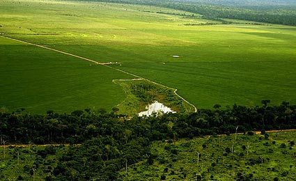 Amazônia tem a menor taxa de desmatamento em 21 anos, constata Inpe