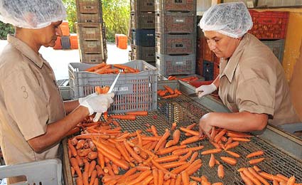 Certificação obrigatória para produtos orgânicos entra em vigor
