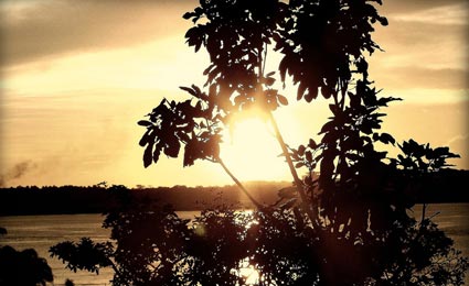 Desmatamento no Cerrado é duas vezes maior do que na Amazônia