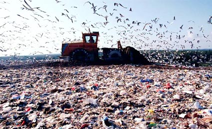 Metade da produção mundial de alimentos é jogada no lixo