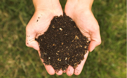 Guia da compostagem: uma solução para o lixo orgânico