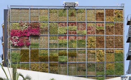 Instalado jardim vertical de seis andares em praça da Espanha
