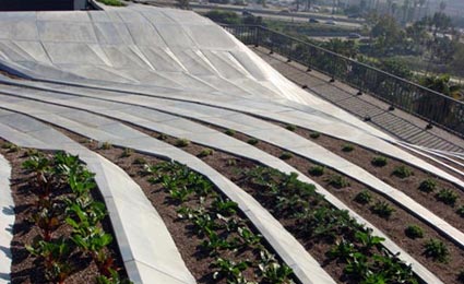 Novo protótipo de telhado verde é desenvolvido em Los Angeles
