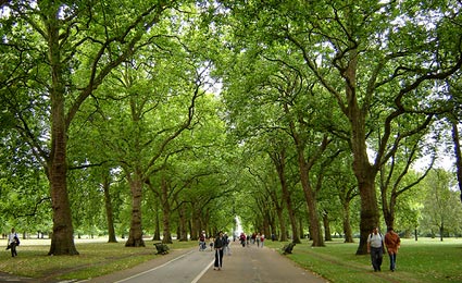 Prefeito quer tornar Londres a cidade mais limpa do planeta até 2012