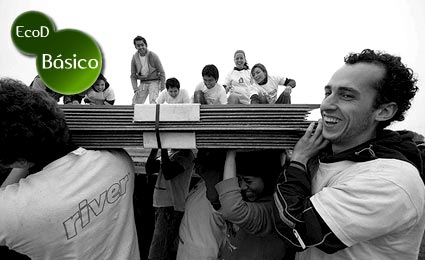 EcoD Básico: O que você precisa saber sobre o voluntariado