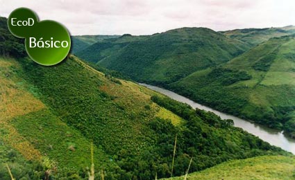 EcoD Básico: Área de Preservação Permanente (APP)