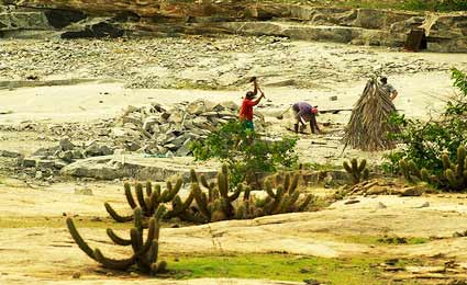 Governo quer acelerar implantação do Plano Nacional de Combate à Desertificação