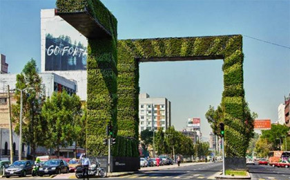 Cidade do México aposta em jardins verticais para reduzir poluição