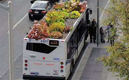 NY: Designer cria projeto de ônibus com telhado verde