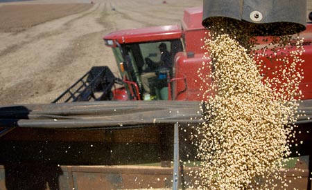Logística integrada reduz perdas do campo ao consumidor