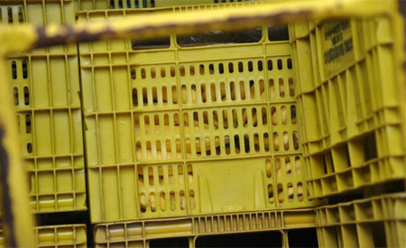 Nada fica no caminho: As soluções para o transporte de alimentos