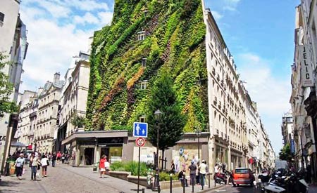 Depois de Londres, Paris também ganha jardim vertical em fachada de prédio