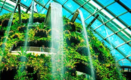 botanico-ecod.jpg