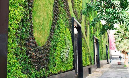 universidade-ecod.jpg