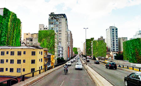 minhocao-ecod.jpg