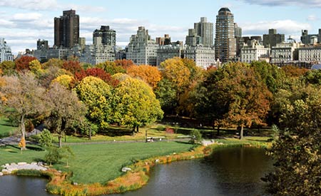 nova-york-ecod.jpg
