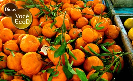 Coma alimentos orgânicos 