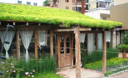 Guia da construção verde: Telhados verdes