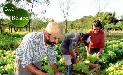 alimento organico